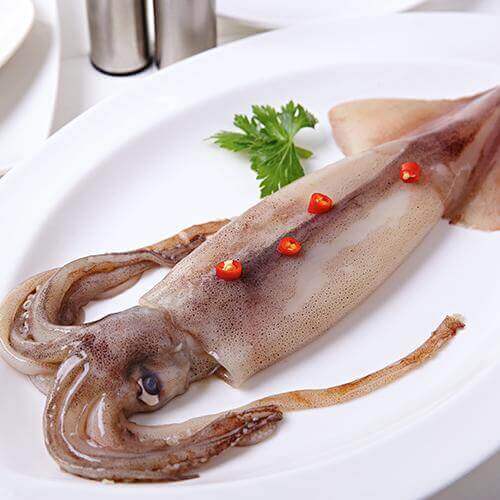 Squid Drying Process